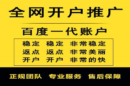百度竞价推广成功案例解析